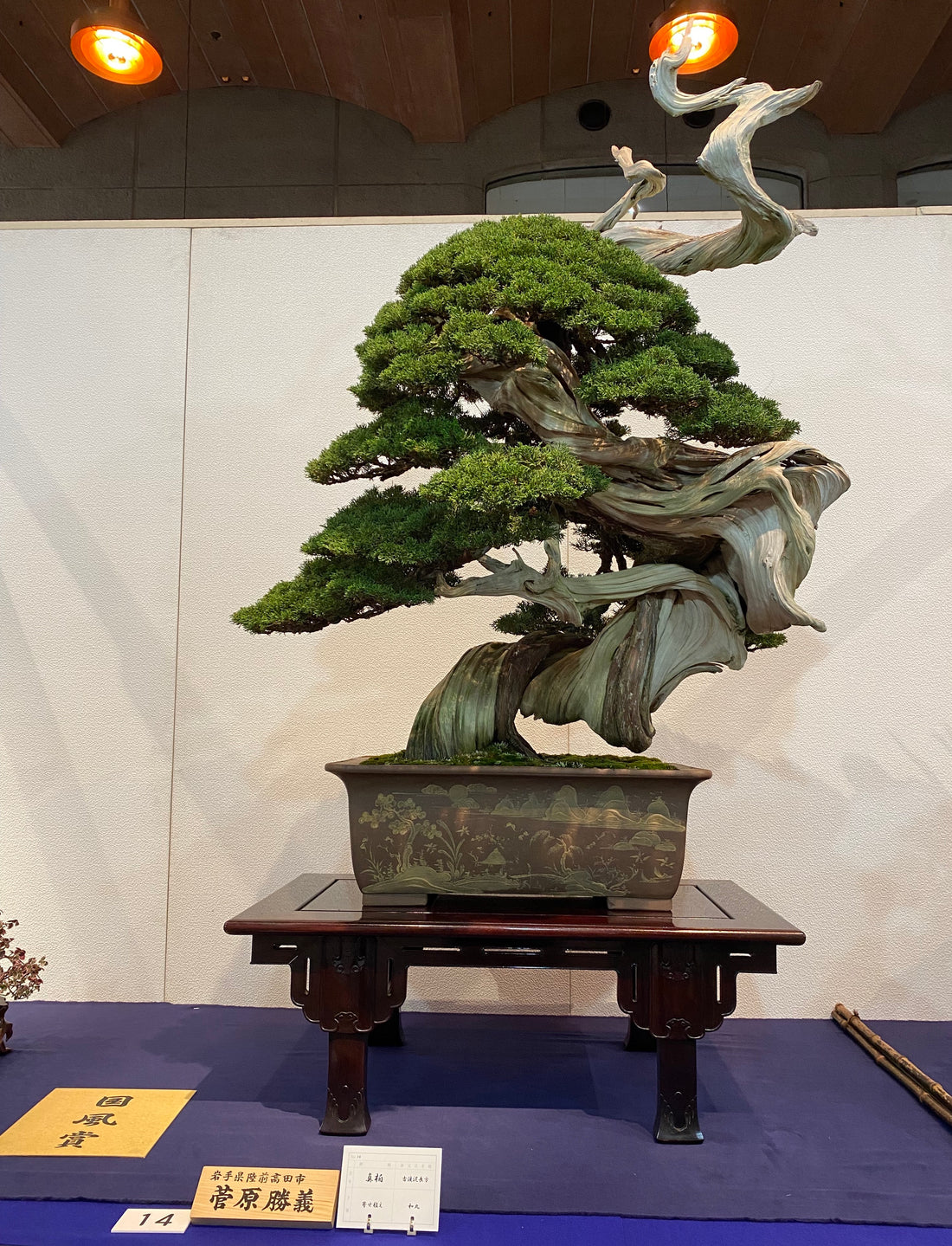 97th Kokufu, Bonsai exhibition