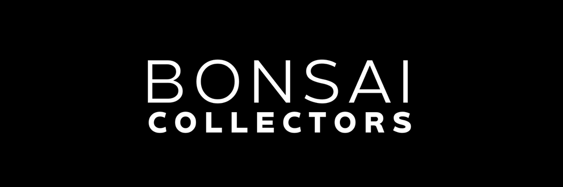 Unveiling 'Bonsai Collectors': A New Frontier in Bonsai Art