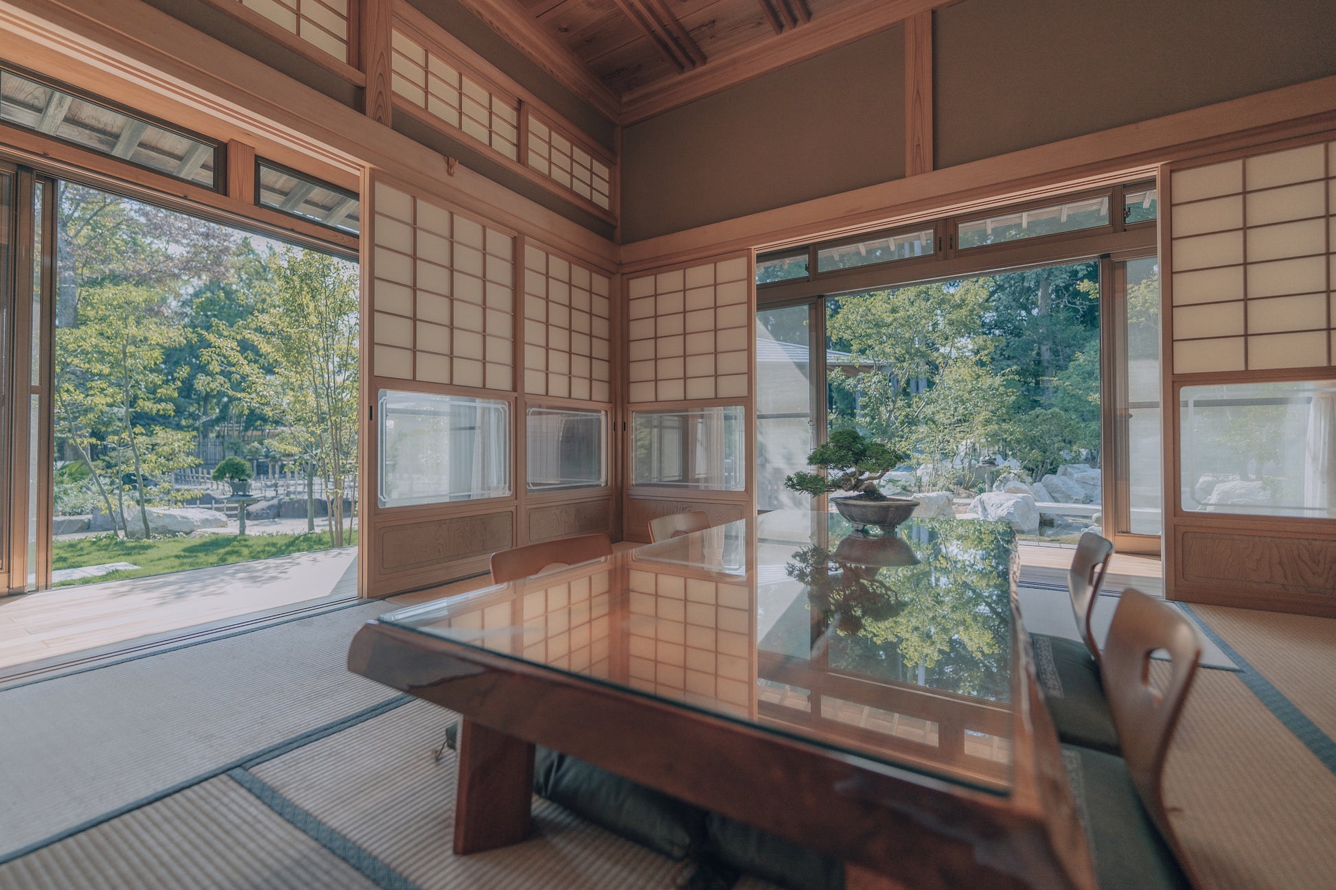 Kokufu ten 2024, Kokufu exhibition 2024, 98th Kokufu ten, bonsai exhibition tokyo