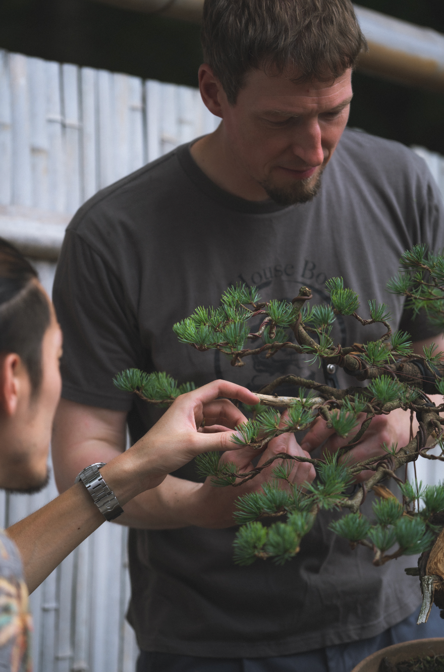 bonsai school, bonsai class, bonsai workshop, bonsai workshop near Tokyo, bonsai garden Tokyo, bonsai garden Japan, tree house bonsai, Adam Jones bonsai professional 