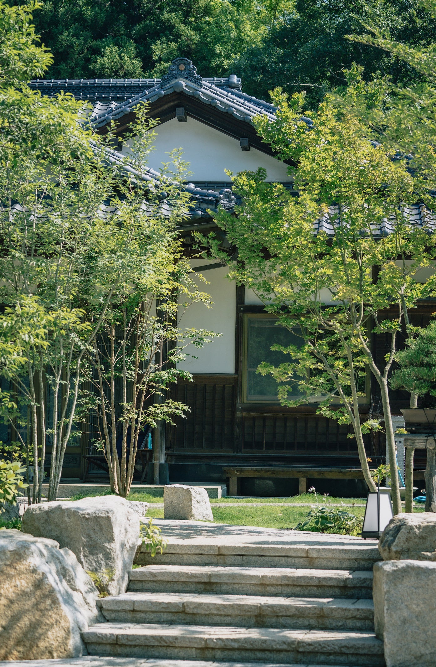 Bonsai garden Tokyo, bonsai school, Kokufu 2024