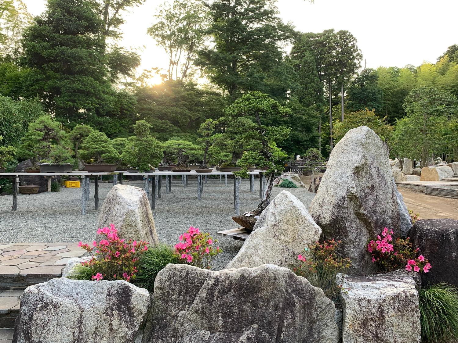 Tree House Bonsai, Japanese Bonsai garden near Tokyo, Adam Jones Bonsai master 