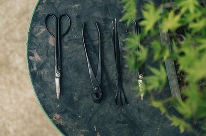 Bonsai school, Bonsai school Japan, bonsai workshop tokyo