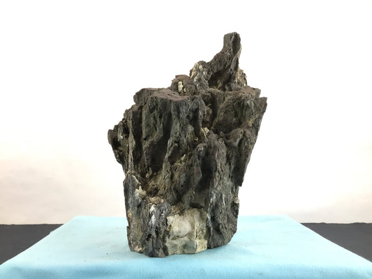 Ibigawa stone #THR-0084
