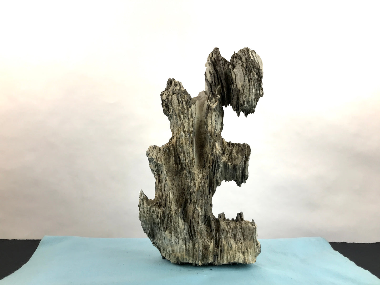 Ibigawa stone #THR-0088