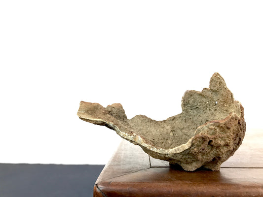 Ton sabi croissant #THR-0097