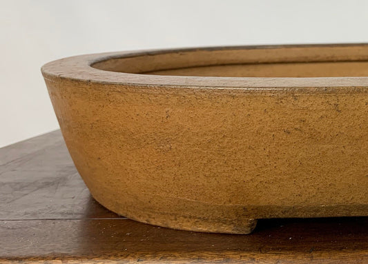 Ovale Syuzan #THC-0242