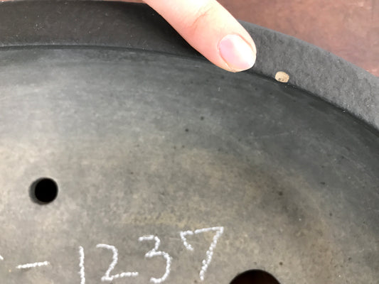 Ikeguchi oval #THC-1237