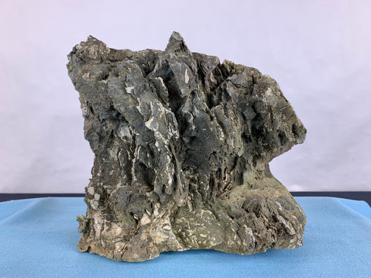 Ibigawa stone #THR-0064