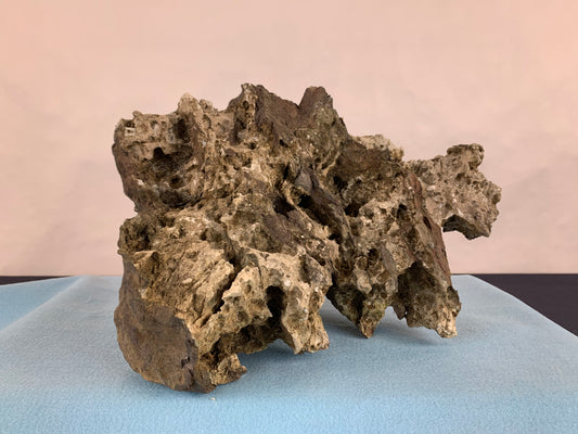 Ibigawa stone #THR-0068