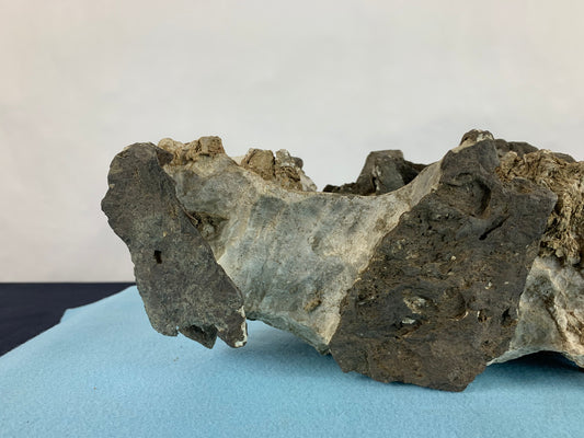 Ibigawa stone #THR-0070