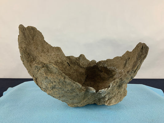 Ton sabi croissant #THR-0077