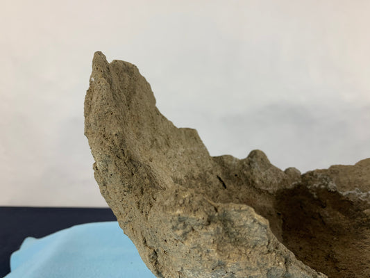 Ton sabi croissant #THR-0077