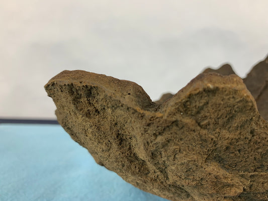 Ton sabi croissant #THR-0080