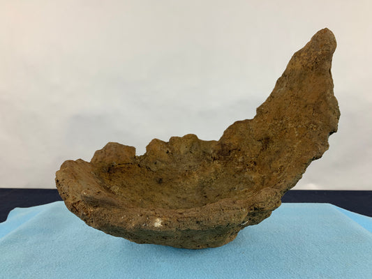 Ton sabi croissant #THR-0081