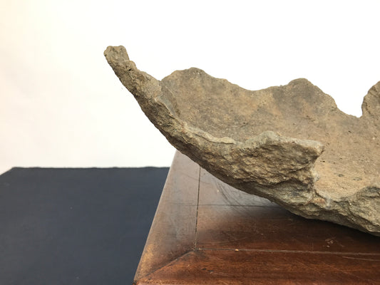 Ton sabi croissant #THR-0127