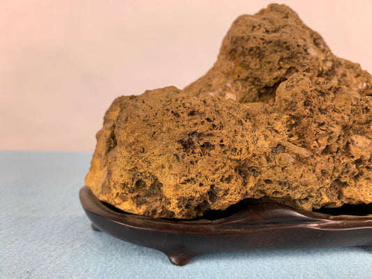 Sado-goshiki toyama #THI-0029