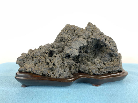 Kamogawa shimagata #THI-0034