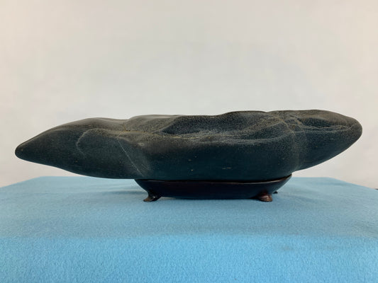 Kamogawa mizutamari #THI-0036