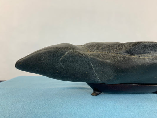 Kamogawa mizutamari #THI-0036