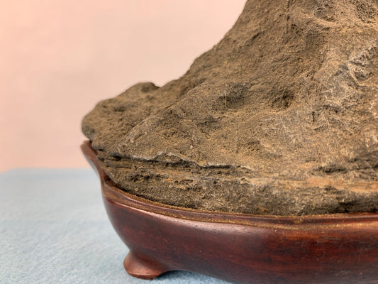 Setagawa toyama #THI-0040