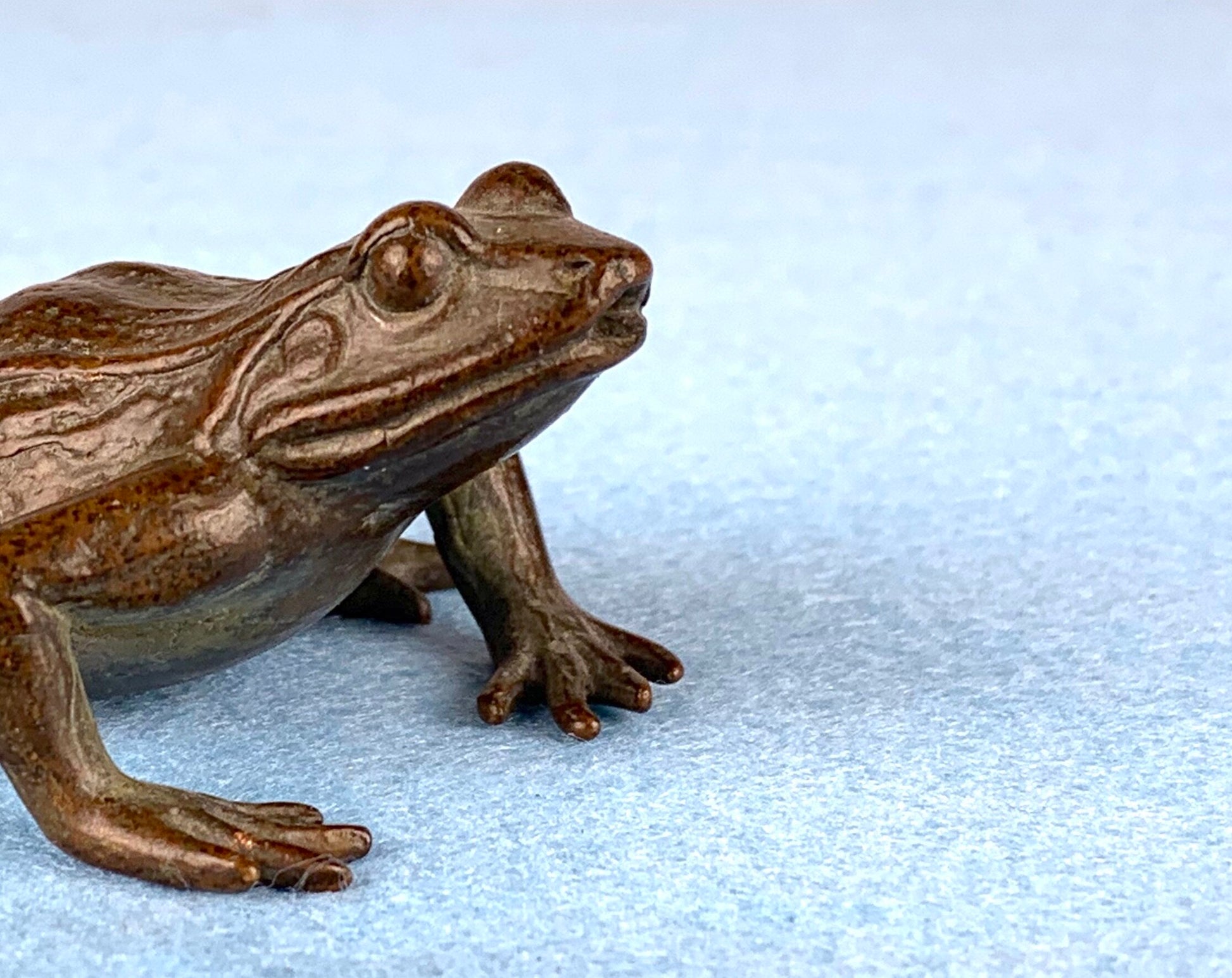do frogs like bonsai trees Bronze frog #THO-0004 – Tree House Bonsai