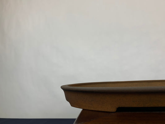 Mino Kenzan oval #THC-0891