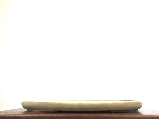 Harumatsu oval #THC-1381