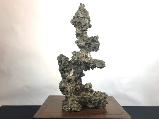 Ibigawa stone #THR-0144