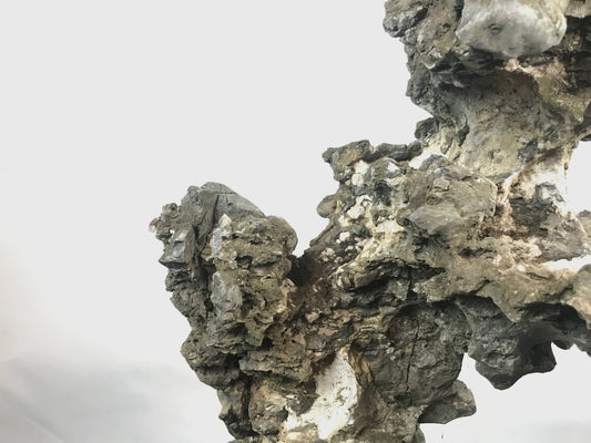 Ibigawa stone #THR-0144