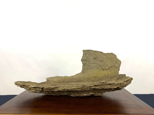 Dalle ton kurama #THR-0029