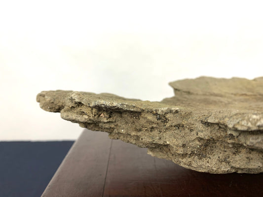 Dalle ton kurama #THR-0029