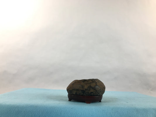 Senshu mizutamari #THI-0005