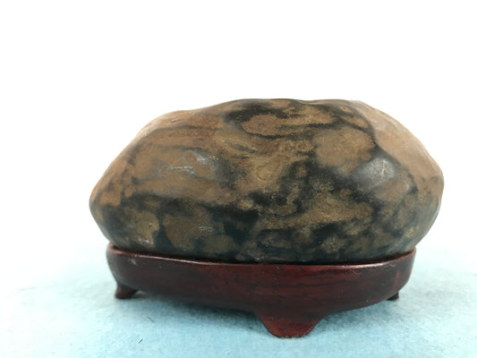 Senshu mizutamari #THI-0005