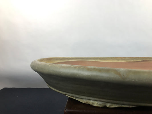 Shuhou ovale #THC-1166