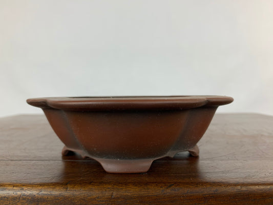 Bigei mokko #THC-0283